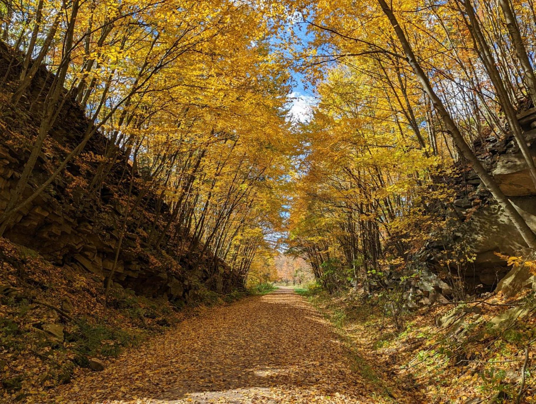 Stay In Ohiopyle Near Everything Including The Trail, Ohiopyle Pa Farmington Экстерьер фото